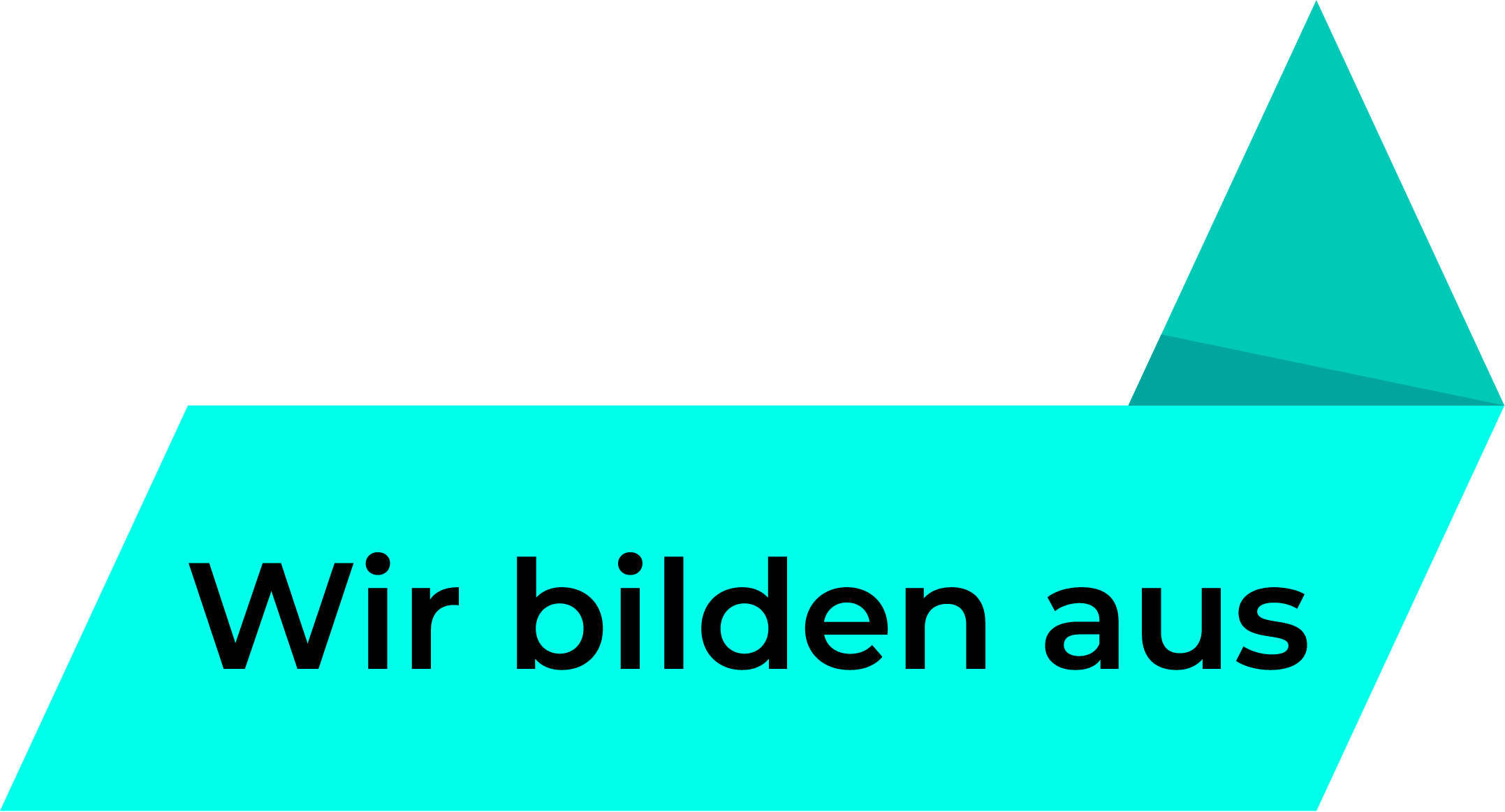 FKI Ausbildungssignet Ohne Claim RGB