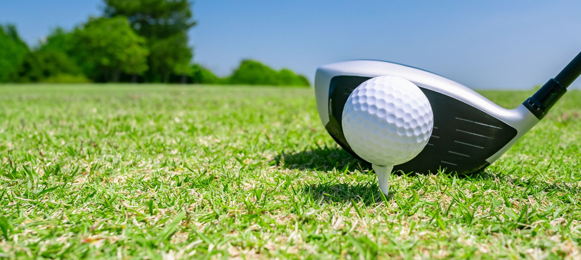 <a target=_blank href='https://www.stbk-nuernberg.de/mitglieder/veranstaltungen?eventId=80'><p>Golfmeisterschaften</p><p>der Steuerberaterinnen und Steuerberater in Bayern<br>6. Juli 2026 Golfclub Lauterhofen</p> Golfmeisterschaften