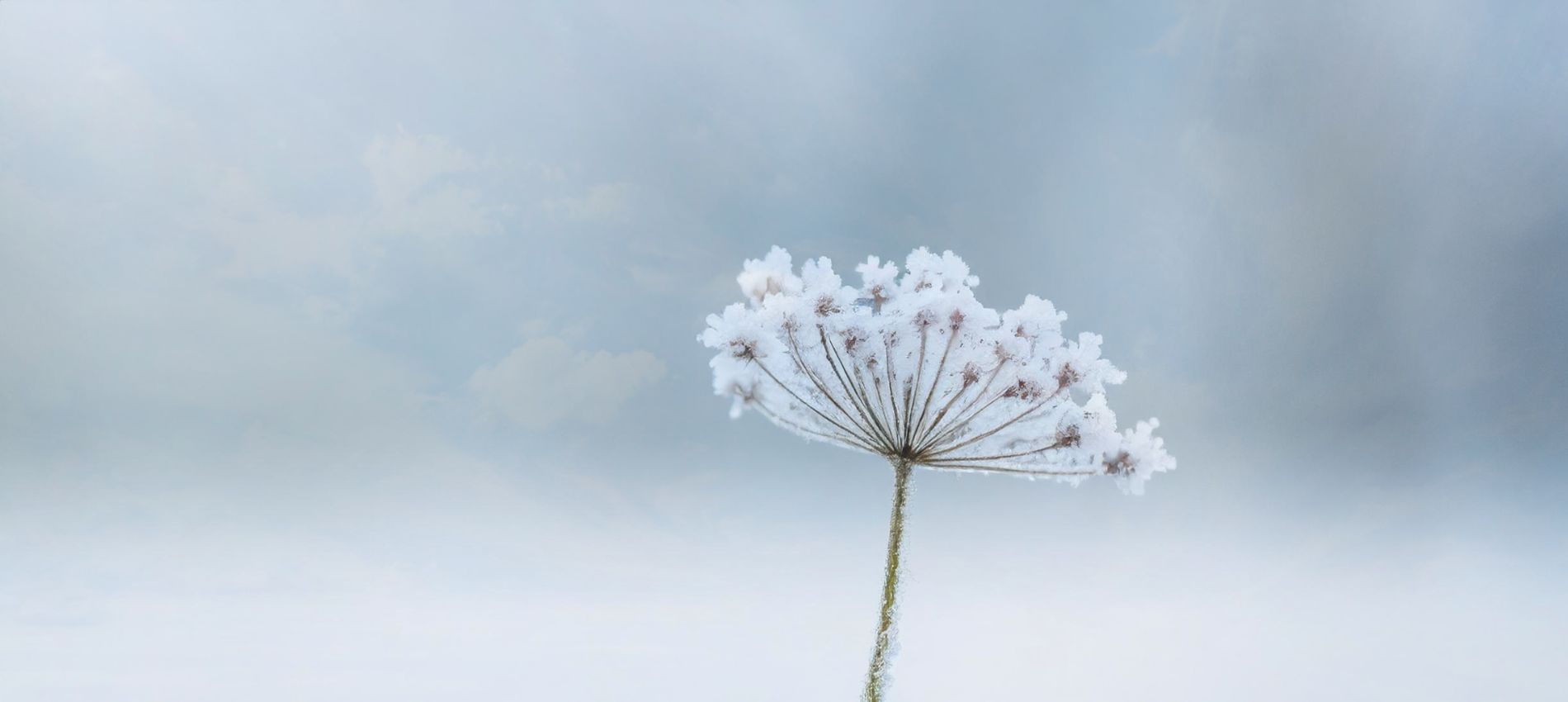 <a target=_blank href='https://www.stbk-nuernberg.de/nachwuchs/pruefung/stb-pruefung-anmeldung'><p>Bekanntmachung</p><p>zur Zulassung zur Steuerberaterprüfung 2026</p> Bekanntmachung